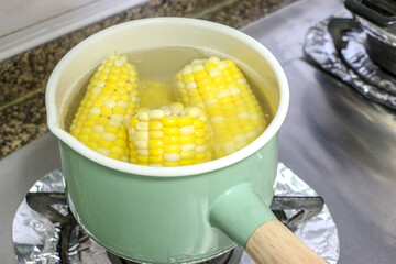 Corn on the cob (sweet corn) boiling in a green pot on a stove in the kitchen