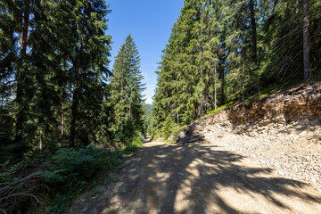 Mountain dirt road in the Ukrainian Carpathians on a summer day.