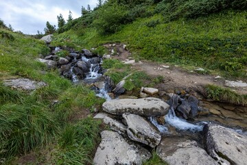 Mountain stream on a summer day in the Ukrainian Carpathians