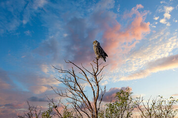 A drive around Vulcan County Alberta Canada