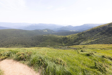 Obraz premium Mountain landscape in Ukrainian Carpathians in summer.