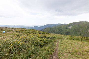 Naklejka premium Panorama of mountains in the Ukrainian Carpathians on a summer day.