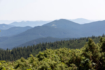 Mountain landscape in Ukrainian Carpathians in summer.