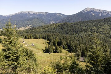 Obraz premium Mountain landscape in Ukrainian Carpathians in summer.