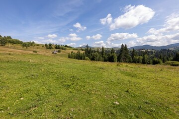Fototapeta na wymiar Green mountain meadows in the high Carpathians