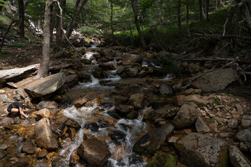 Hiking in the woods. View of a young woman drinking water from the stream flowing across the hill and forest.