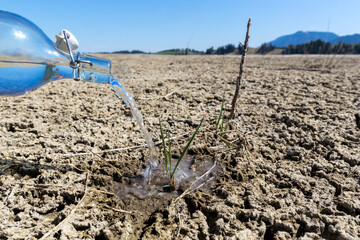 environmental protection, watering a smal spot of green grass on a dried out piece of land