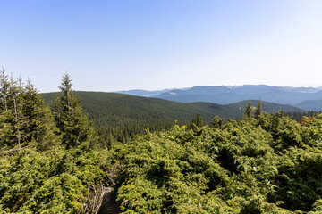 Obraz premium Mountain landscape in Ukrainian Carpathians in summer.