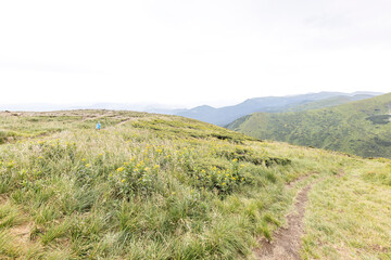 Fototapeta premium Panorama of mountains in the Ukrainian Carpathians on a summer day.
