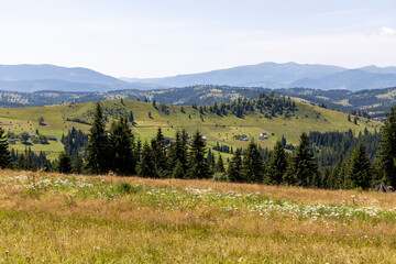Mountain landscape in Ukrainian Carpathians in summer.