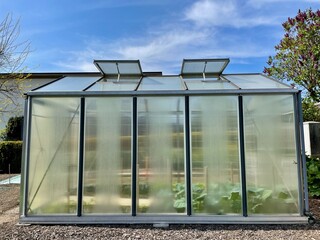 Exterior of glass house. Growing your own food. Fresh organic vegetables in greenhouse.
