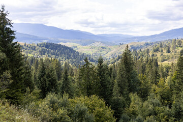 Panorama of mountains in the Ukrainian Carpathians on a summer day.