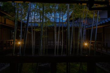 妙顕寺 夜間拝観