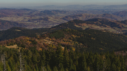 Fototapeta na wymiar Autumn colors in mountain forests - Gorce Mountains 