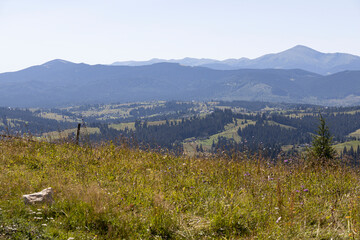 Mountain landscape in Ukrainian Carpathians in summer.