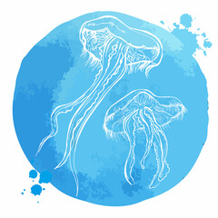 Hand drawn jellyfish in outline style on blue watercolor background. Sea life. Vector illustration.