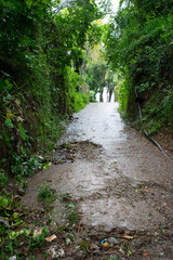 Pothole road - damaged rural road surface.