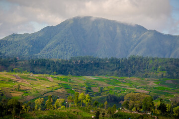 Fototapeta na wymiar natural mountain scenery Mountains on the island of Java, Indonesia unspoiled hills 