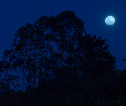 El plenilunio o luna llena es una fase lunar que sucede cuando nuestro planeta se encuentra situado entre el Sol y la Luna, casi alineados. En ese momento, el &aacute;ngulo de elongaci&oacute;n o de fase del sat&eacute;li