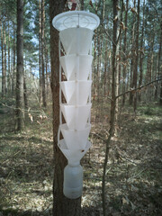 forest insect trap
