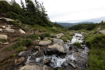 Mountain stream on a summer day in the Ukrainian Carpathians