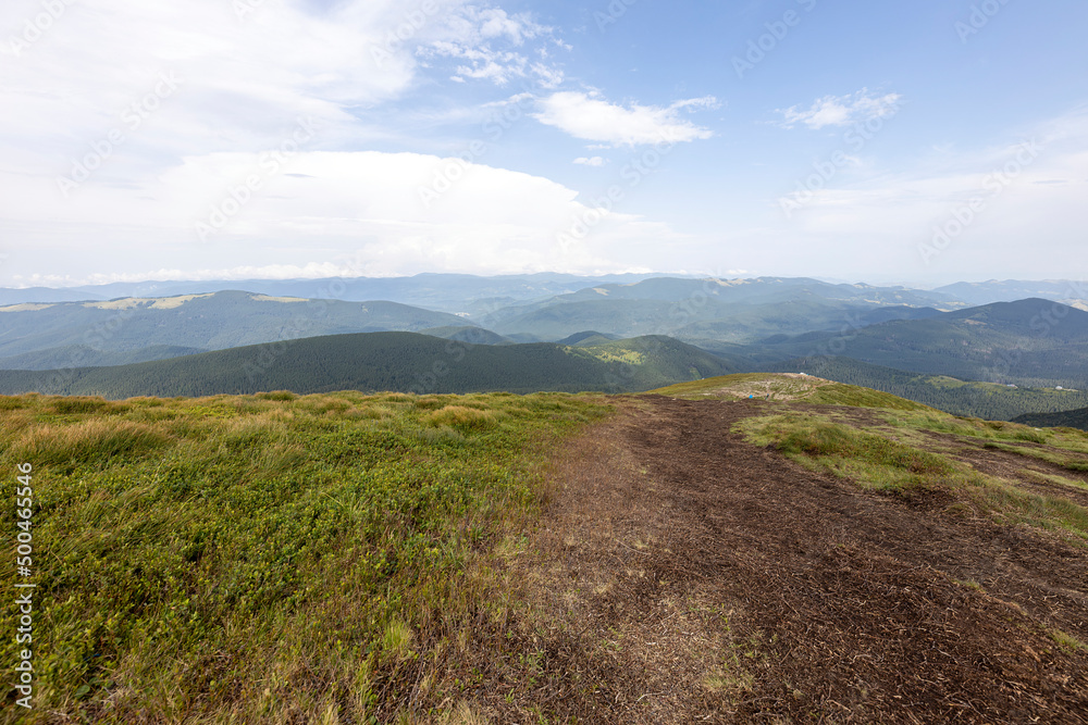 Poster Panorama of mountains in the Ukrainian Carpathians on a summer day.