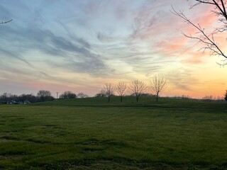 sunset over the field