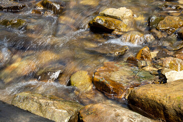 Mountain stream on a summer day in the Ukrainian Carpathians