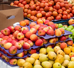 Guavas - apples at farmer's market