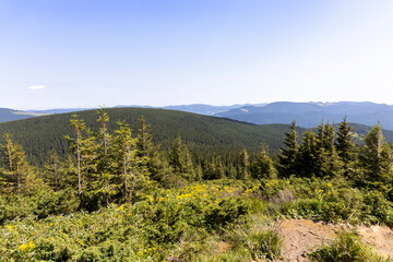 Mountain landscape in Ukrainian Carpathians in summer.