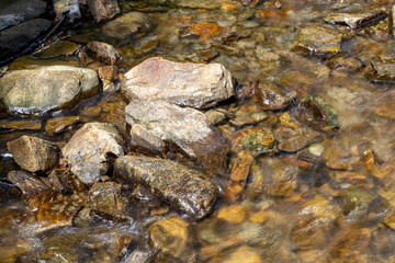 Mountain stream on a summer day in the Ukrainian Carpathians