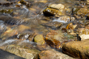 Mountain stream on a summer day in the Ukrainian Carpathians