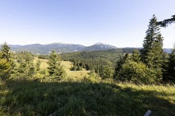 Mountain landscape in Ukrainian Carpathians in summer.
