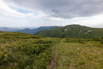 Panorama of mountains in the Ukrainian Carpathians on a summer day.