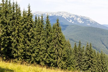 Panorama of mountains in the Ukrainian Carpathians on a summer day.