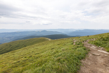 Naklejka premium Mountain landscape in Ukrainian Carpathians in summer.