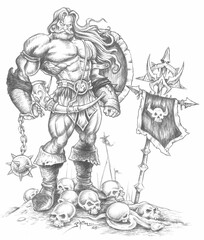 viking warrior with shield and skulls
