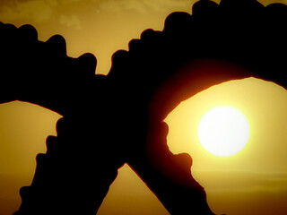 sunrise within the ibex horns