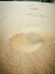 Fototapeta na wymiar foot prints in the sand