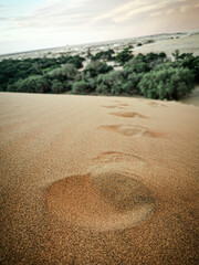 foot prints in the sand