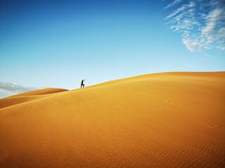 Fototapeta na wymiar man standing on a dune