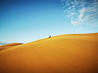 man standing on a dune