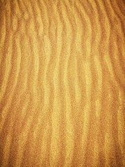 sand shapes in the dune