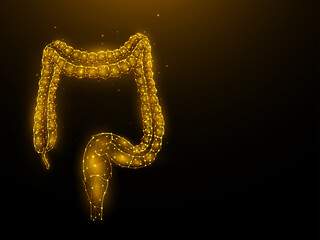 Abstraction polygonal illustration of the colon or large intestine on a dark background. Digestive system, internal organ low poly design. Medical banner, template or background.