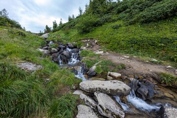 Mountain stream on a summer day in the Ukrainian Carpathians