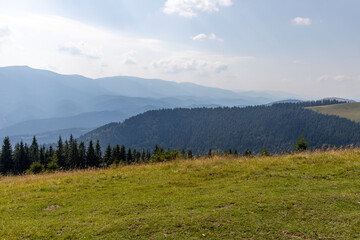 Panorama of mountains in the Ukrainian Carpathians on a summer day.
