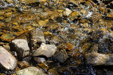 Mountain stream on a summer day in the Ukrainian Carpathians
