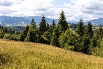 Panorama of mountains in the Ukrainian Carpathians on a summer day.