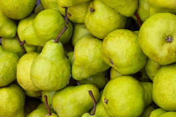 Pyrus communis - Fresh and delicious pear