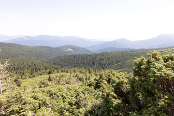 Mountain landscape in Ukrainian Carpathians in summer.